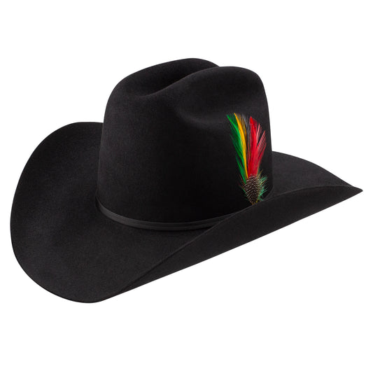 Texana Stetson Rancher 6X Black - vista 1
