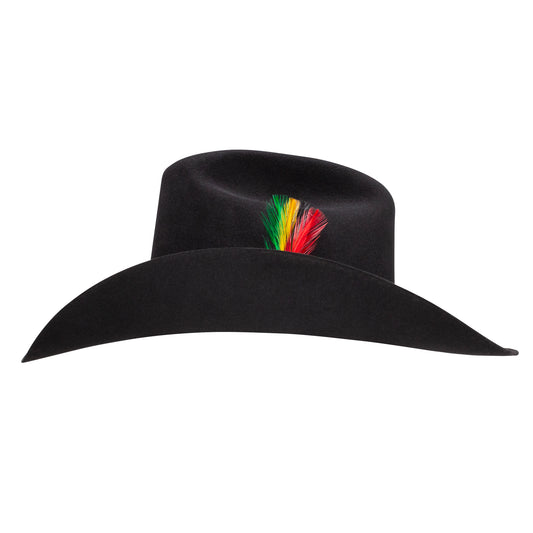 Texana Stetson Rancher 6X Black - vista 2