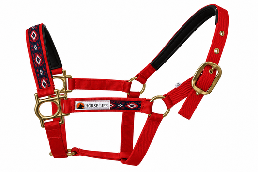 1051 - Almartigon tipo americano rojo con azul marino - image 1 [cognito:5-51:photo:F-WQ27XszpOYGQ3f1yqfM5n!]